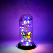 LED Preserved Rose with Colorful Butterfly in Plastic Dome (1 Pc & Mix Color)